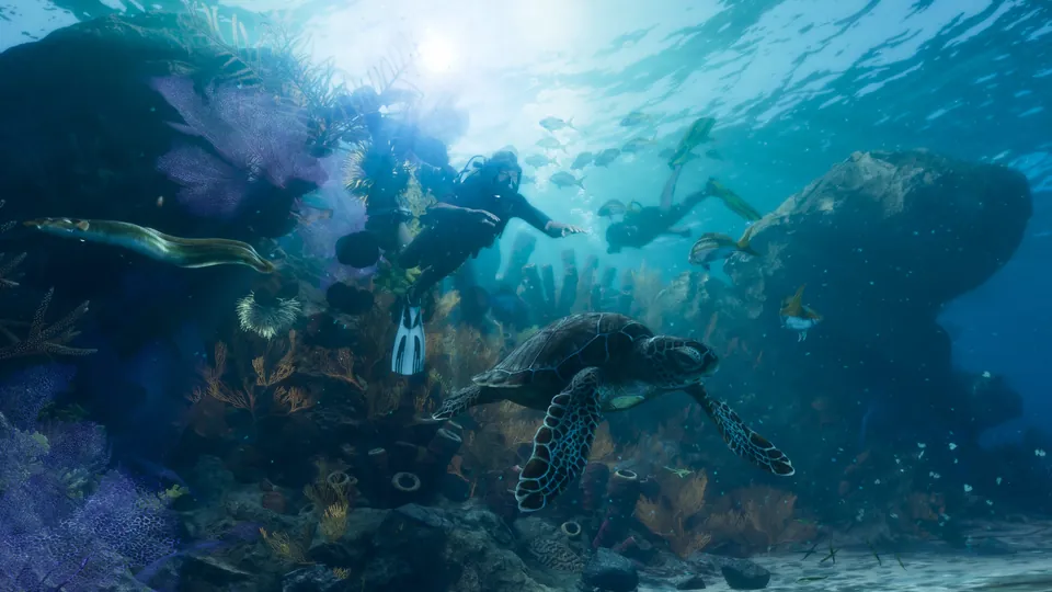 Divers and sea turtles swim over a coral reef in the Leonida Keys