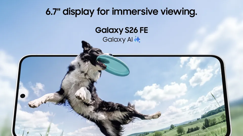 A Galaxy S26 FE held sideways shows a dog leaping for a frisbee on its 6.7-inch display