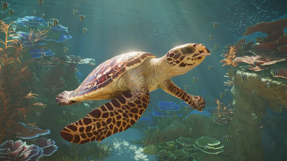 A hawksbill turtle swimming over a coral reef in an aquarium