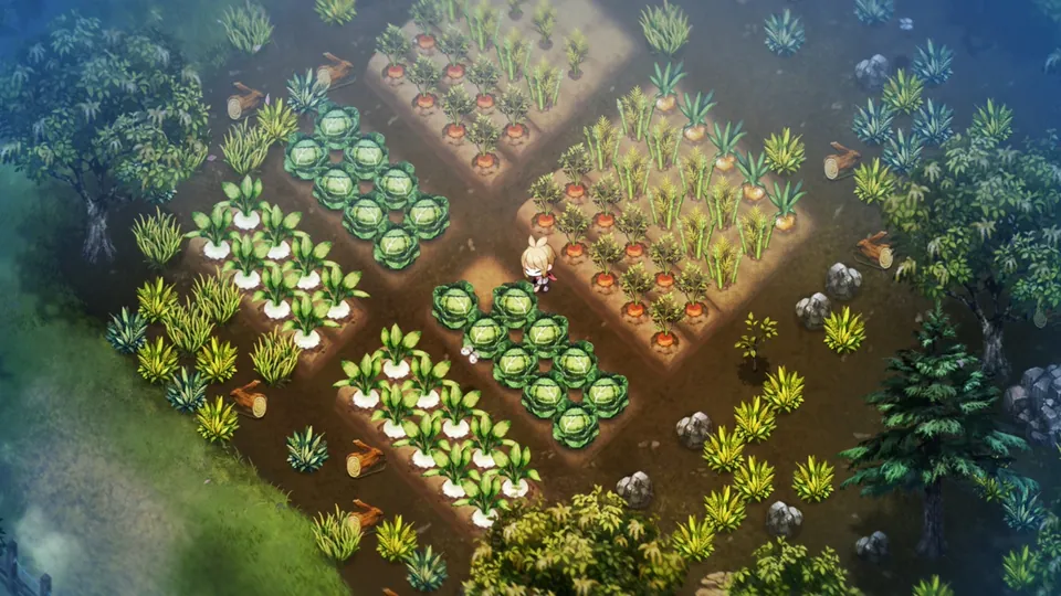 Rows of cabbages, carrots and other crops on a farm in Village in the Shade