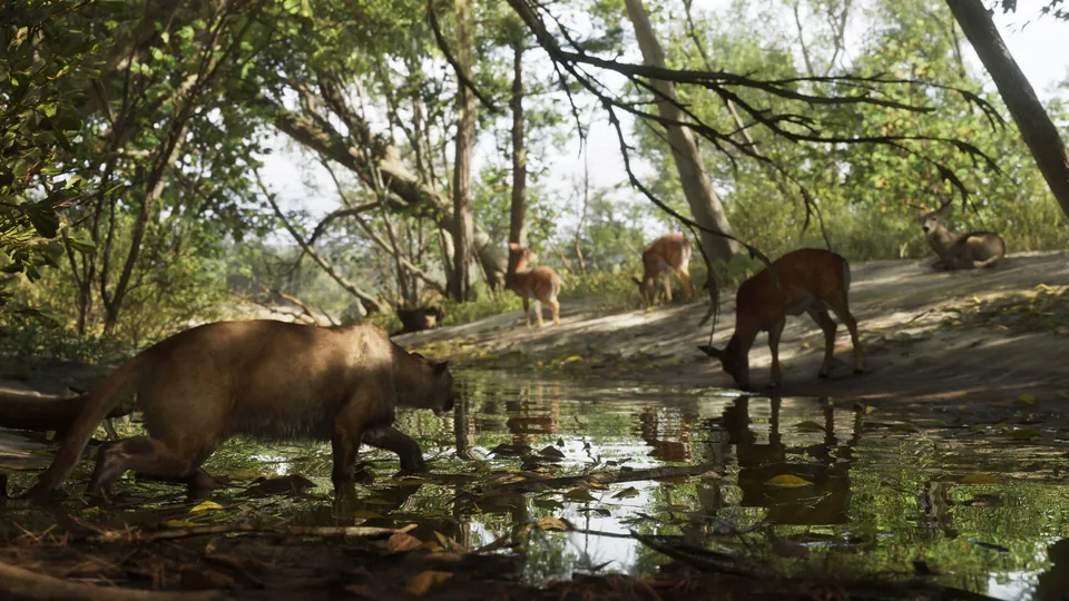 Wild animals drink at a forest creek in Mount Kalaga National Park, GTA 6