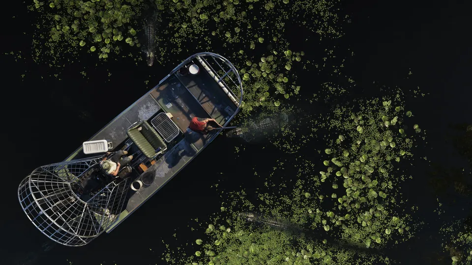 An airboat crosses a swamp, seen from above, in GTA 6