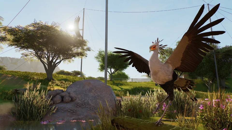 A secretary bird spreading its wings on a grassy hill