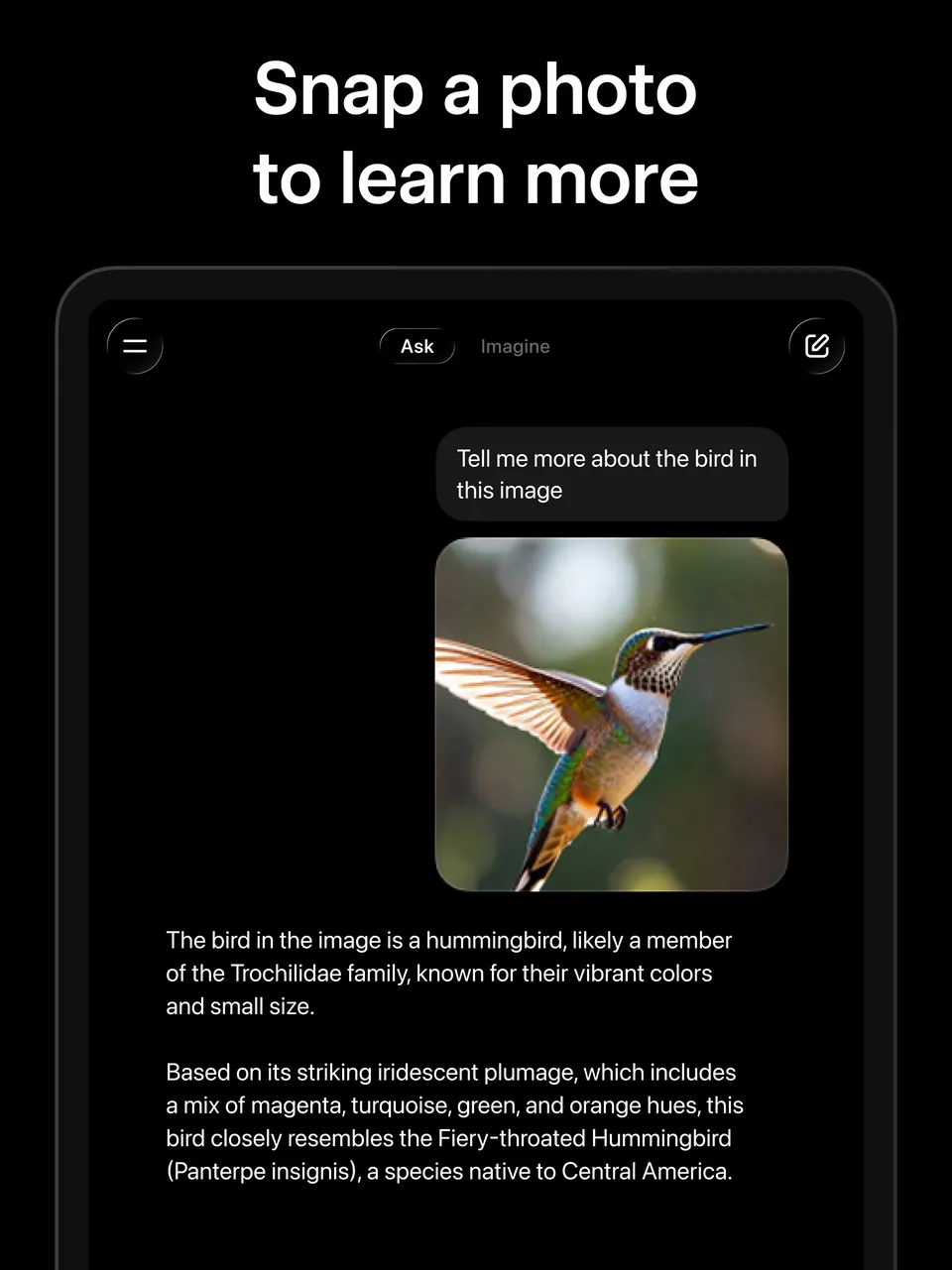 The Grok app on iPad identifying a hummingbird from a photo