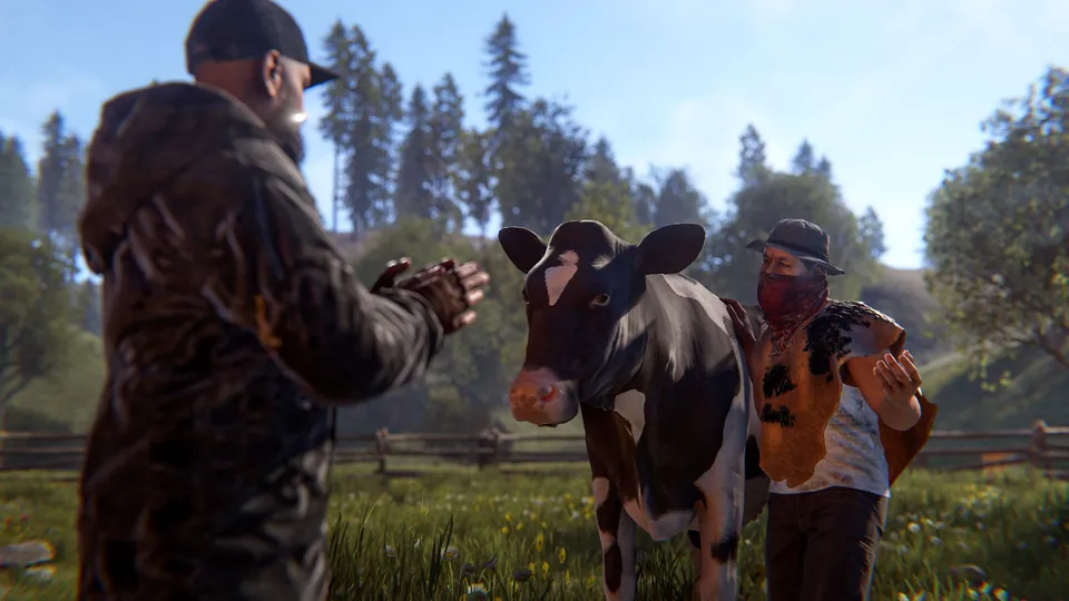 A player in a cap and dark jacket gesturing at a black and white cow beside a man in a hat and bandana in a sunny fenced field