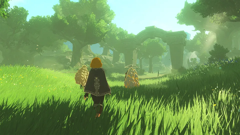 A hooded figure walks through tall grass toward a dense forest in Hyrule Warriors: Age of Imprisonment