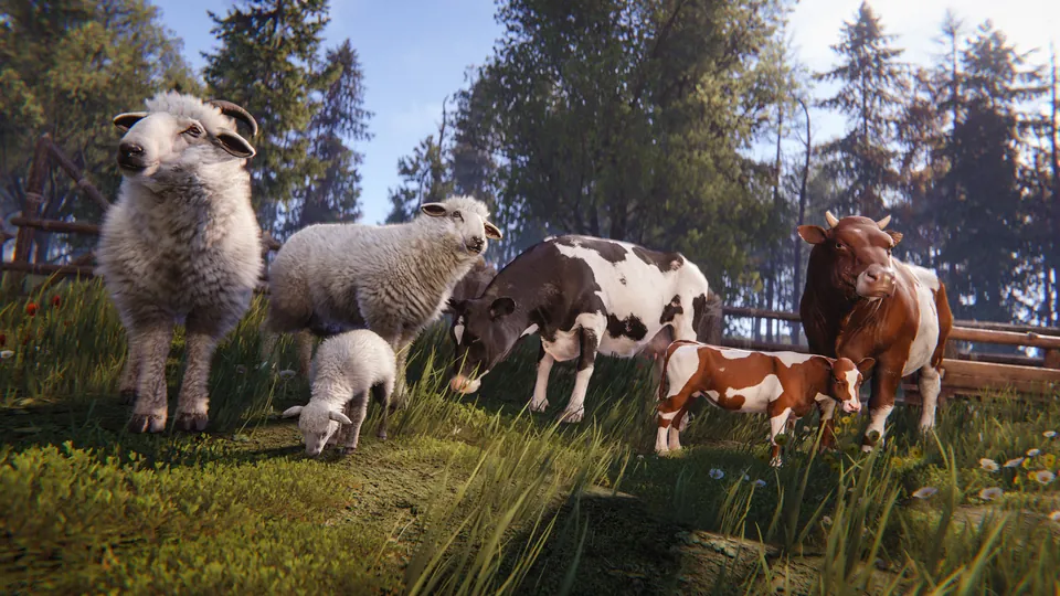 A ram, a sheep, a lamb, a cow, a calf and a bull grazing in a fenced meadow with pine trees behind