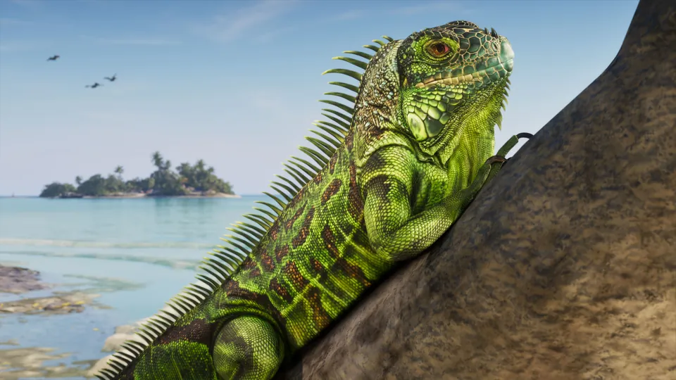 An iguana basks on a rock above turquoise water in the Leonida Keys, GTA 6